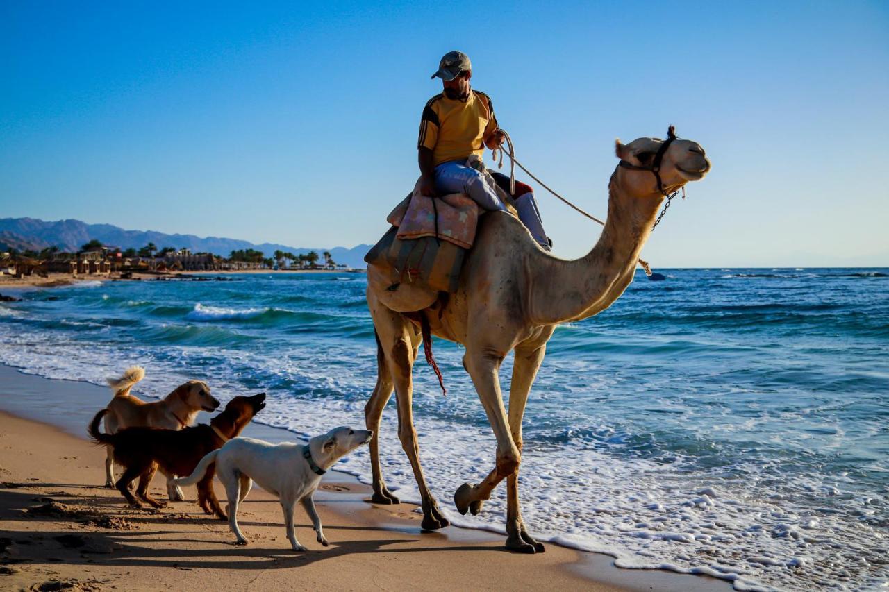 Habiba Beach Lodge Nuweiba` Esterno foto